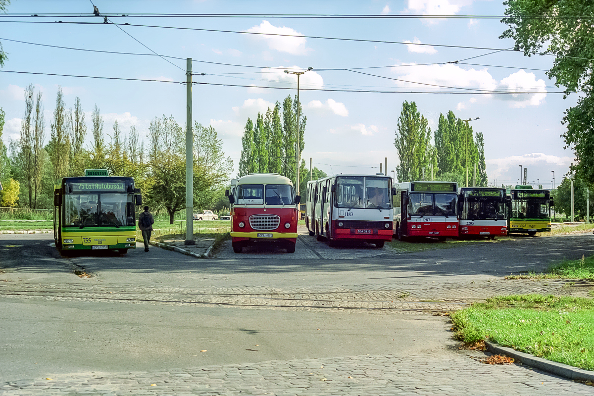 Jelcz 043 #601