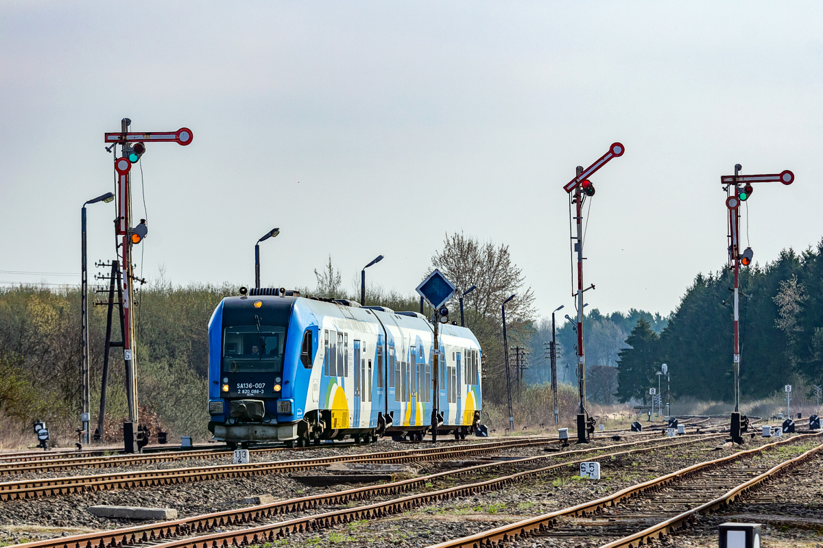 SA136-007: Złocieniec
