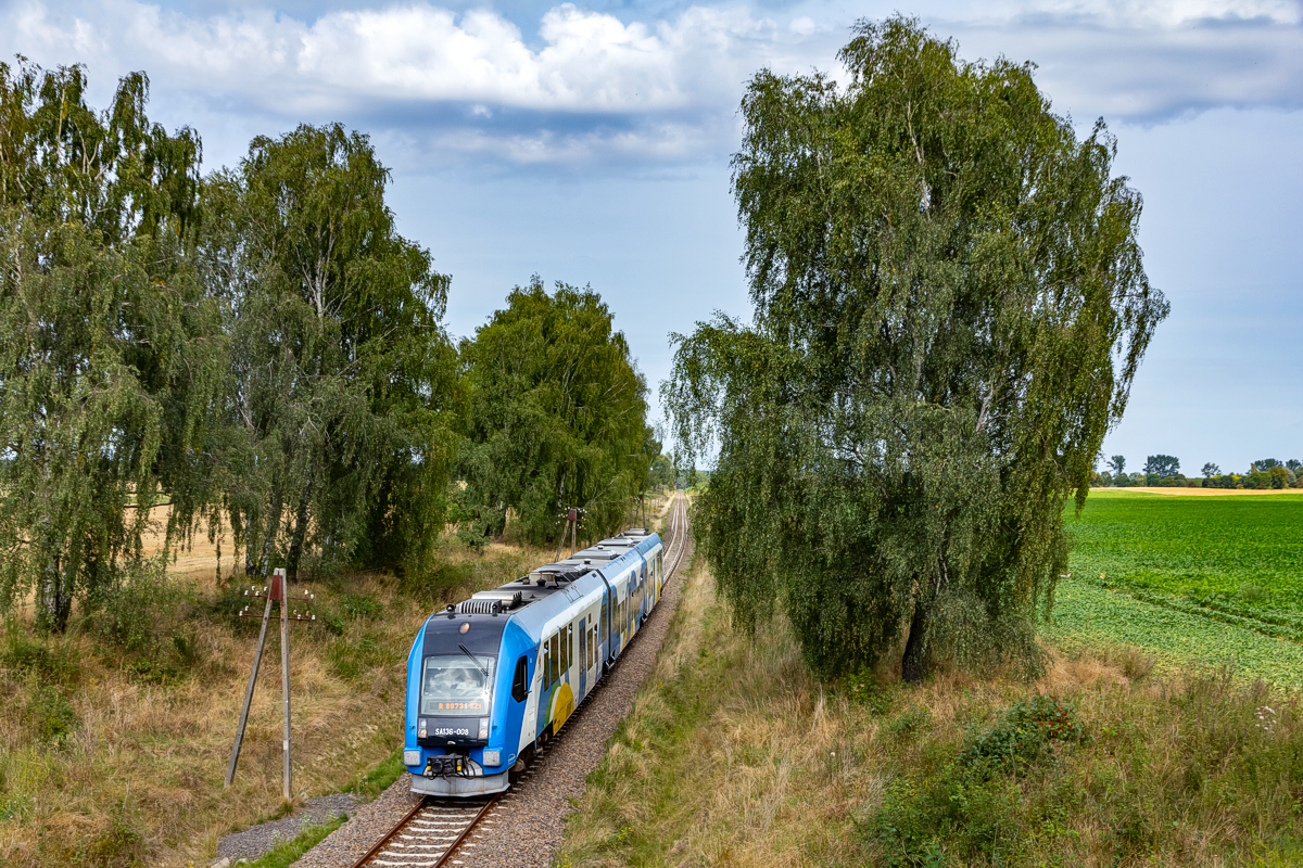 SA136-008: Gąbin - Gryfice