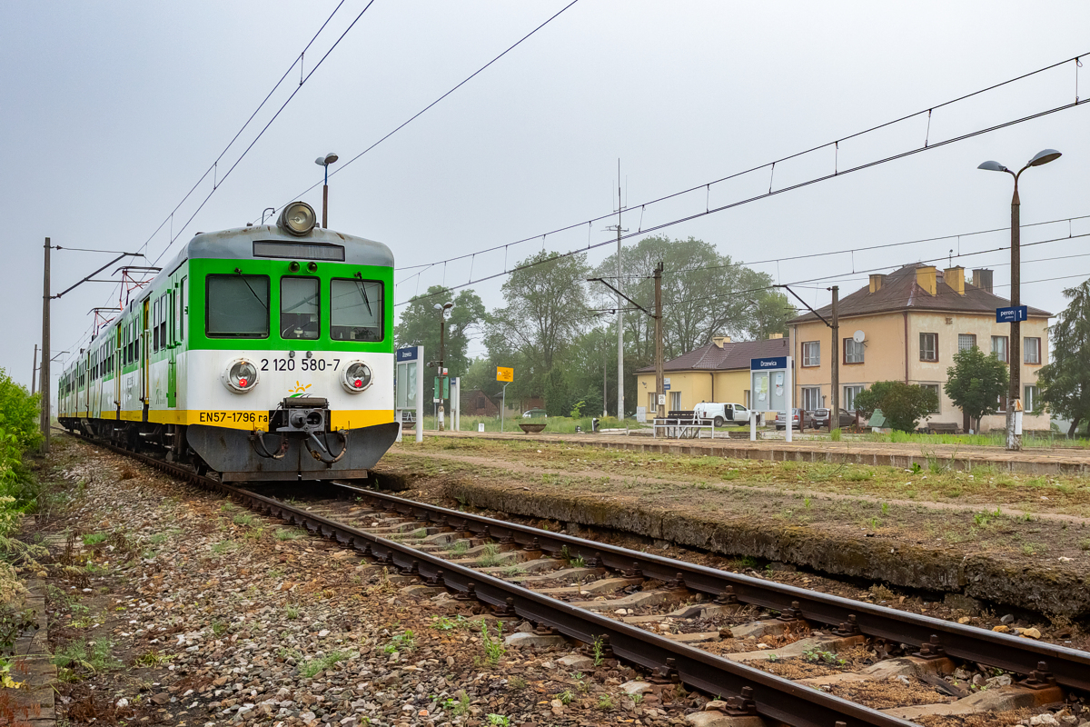 EN57-1796: Drzewica