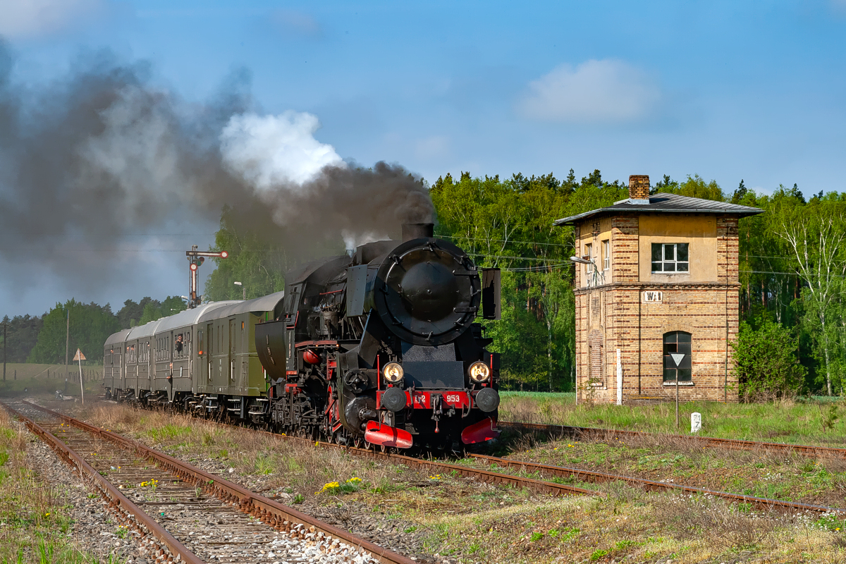 Ty2-953: Wierzbno