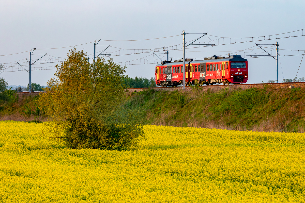 SN83-003: Podłęże
