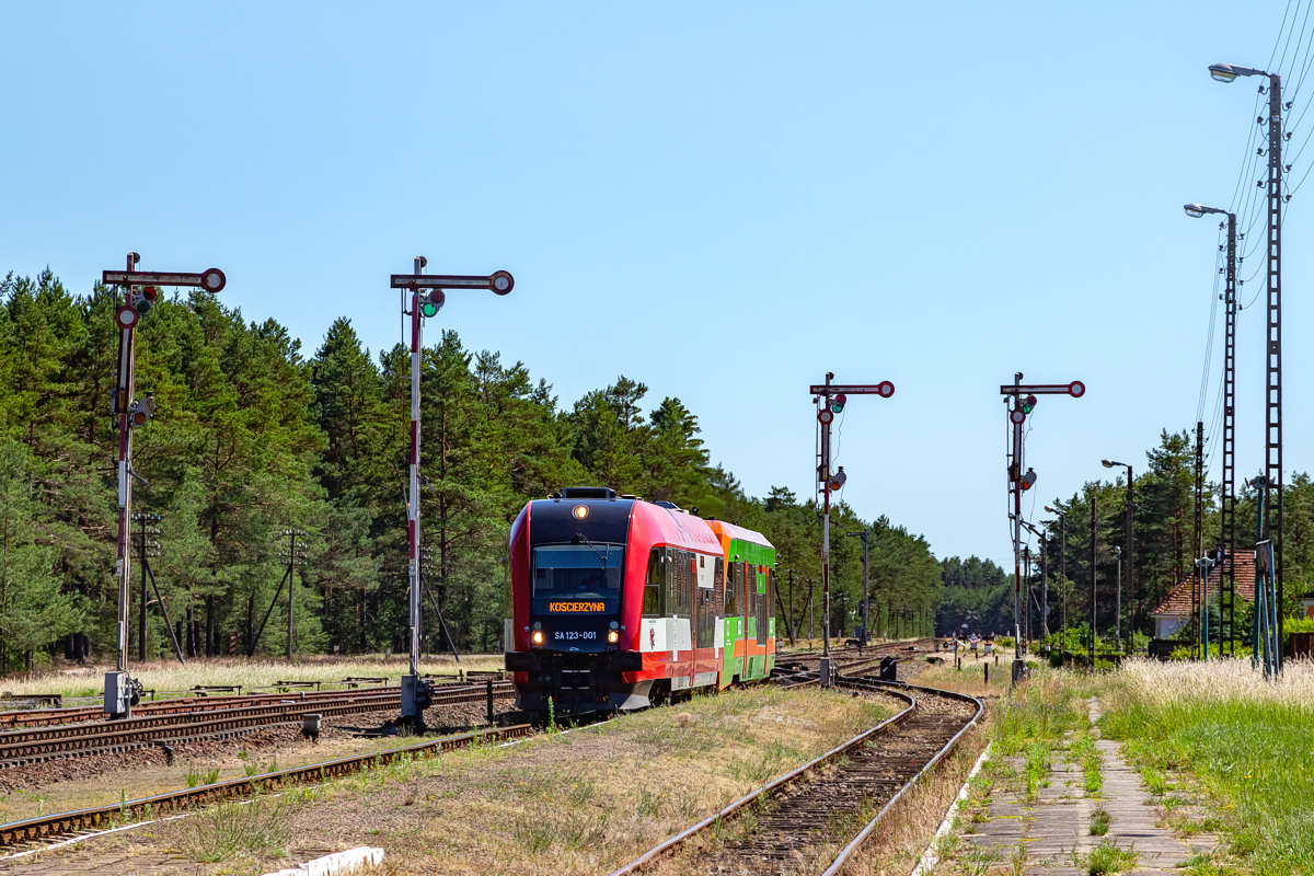 SA123-001: Bąk