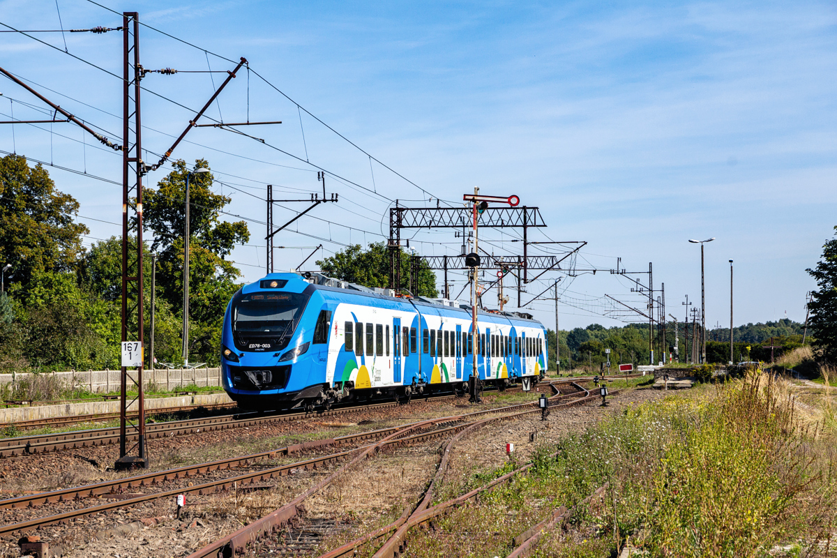 ED78-003: Karwice 