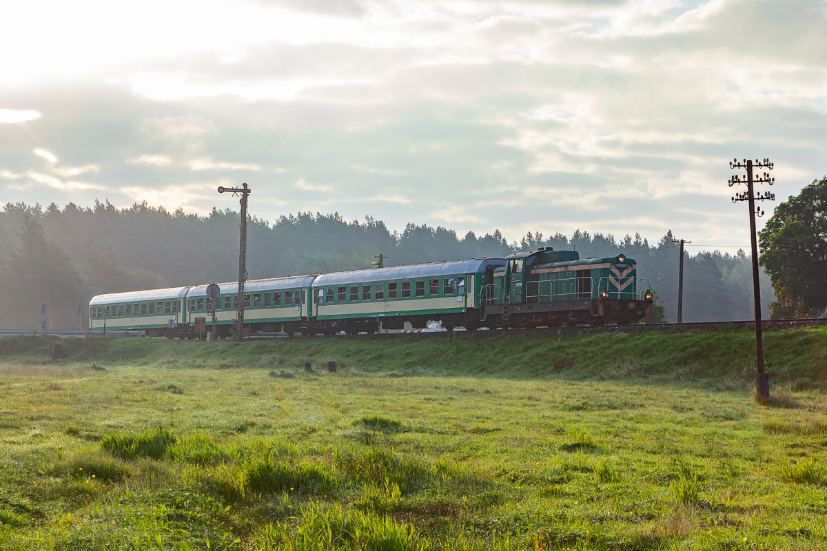 SM42-067: Sokoły