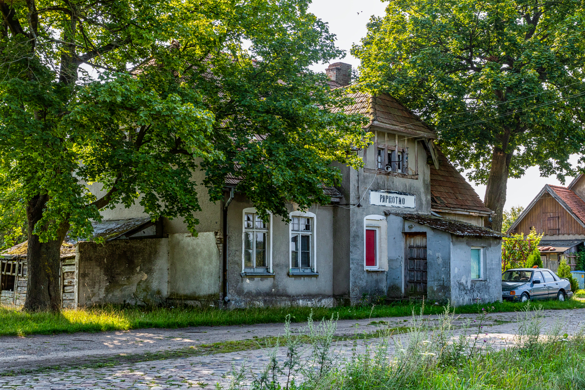 Paprotno