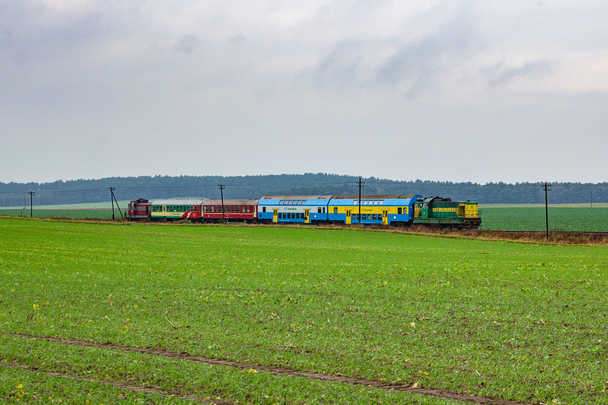 SP32-204: Chełmsko - Rokitno 