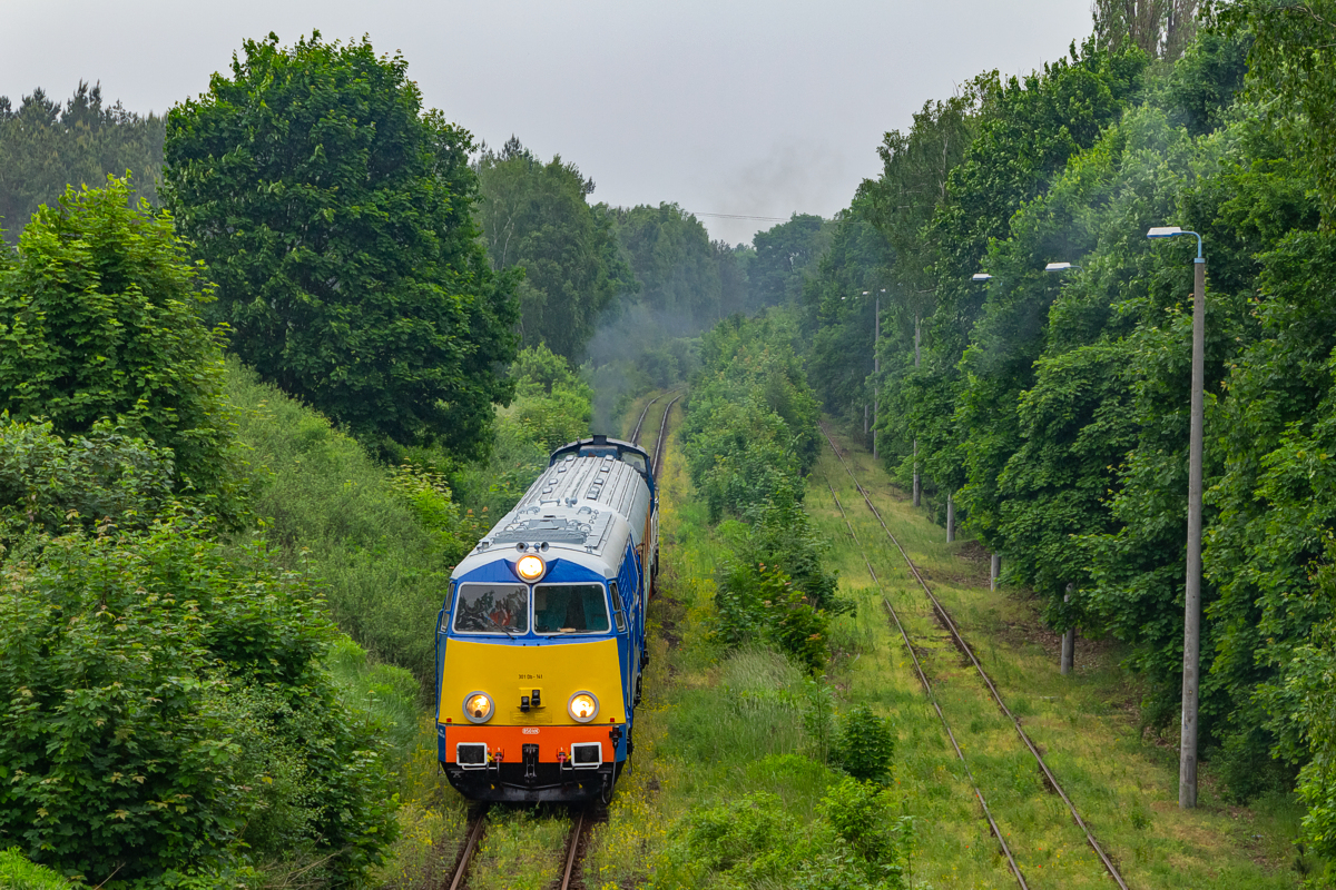 301Db-141: Kostrzyn - Krześnica Sarbinowo