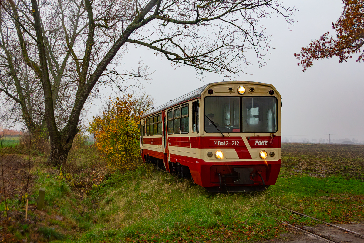 MBxd2-212: Tuja