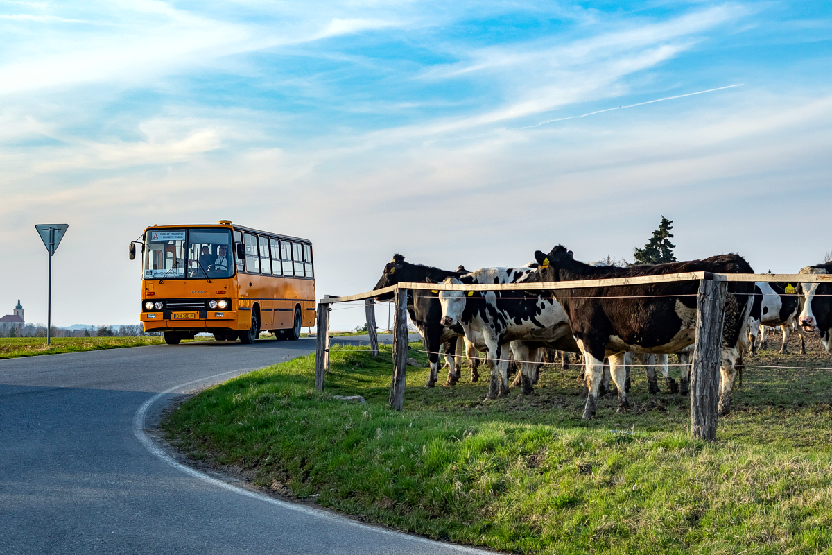 Ikarus 260.32 #DW 38E: Svatbín - Brník