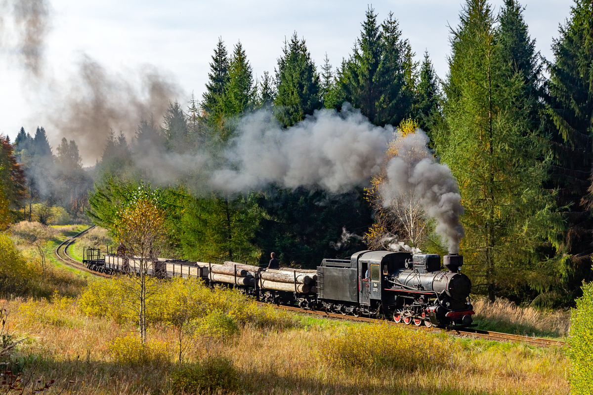 Kp4-3772: Solinka - Żubracze