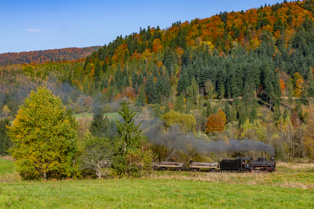 Kp4-3772: Dołżyca - Krzywe