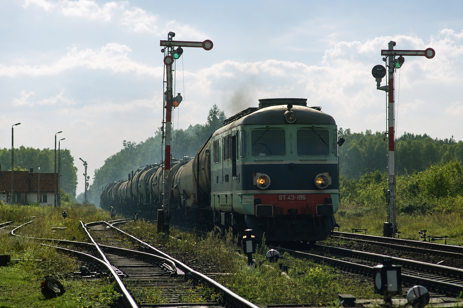 ST43-195: Trzcianka