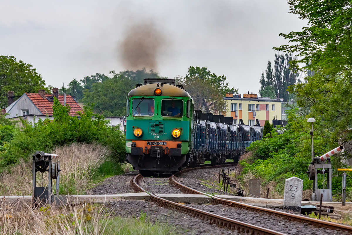 ST43-365: Międzyrzecz