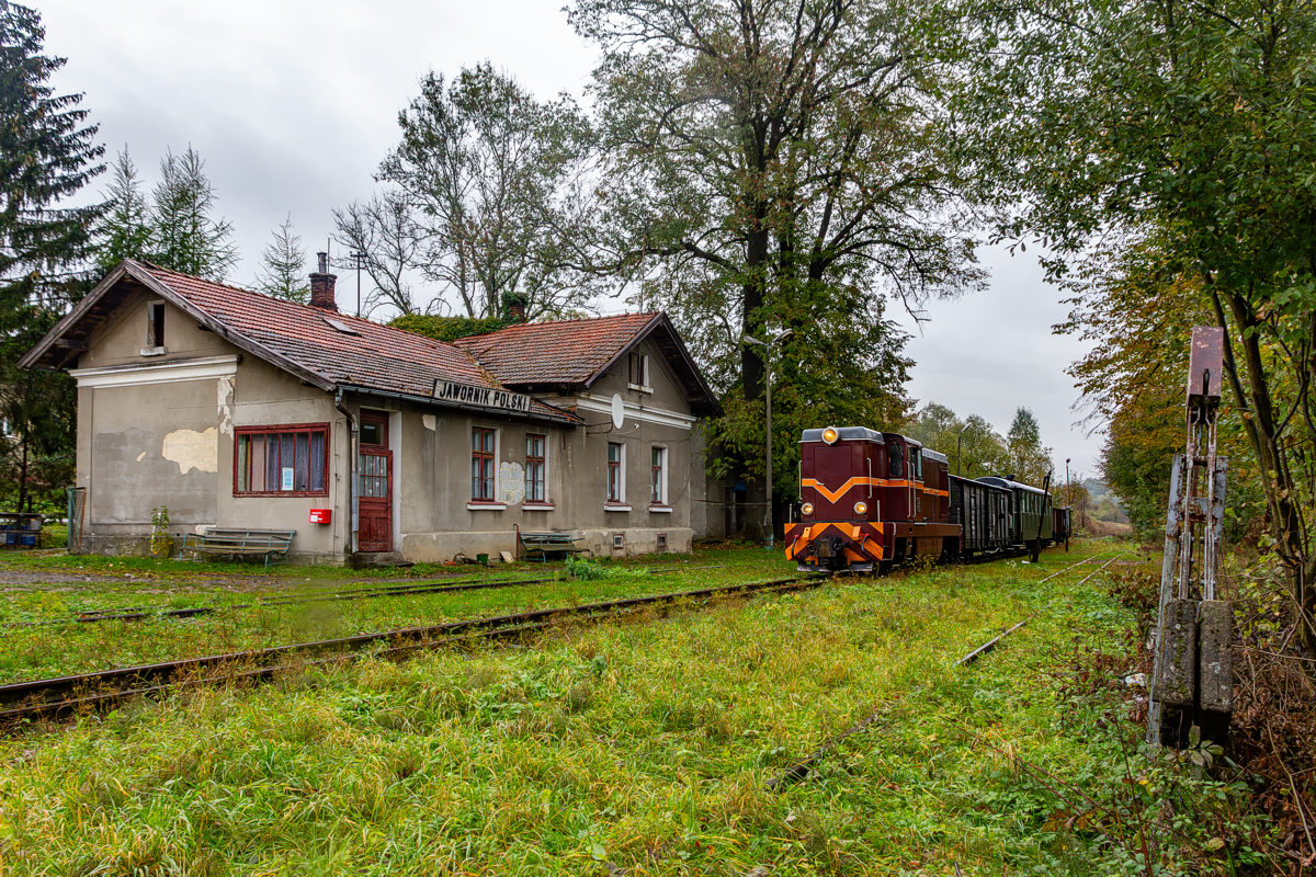 Lxd2-268: Jawornik Polski
