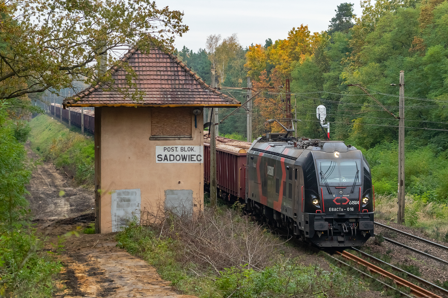 E6ACTa-016: Działoszyn - Chorzew-Siemkowice