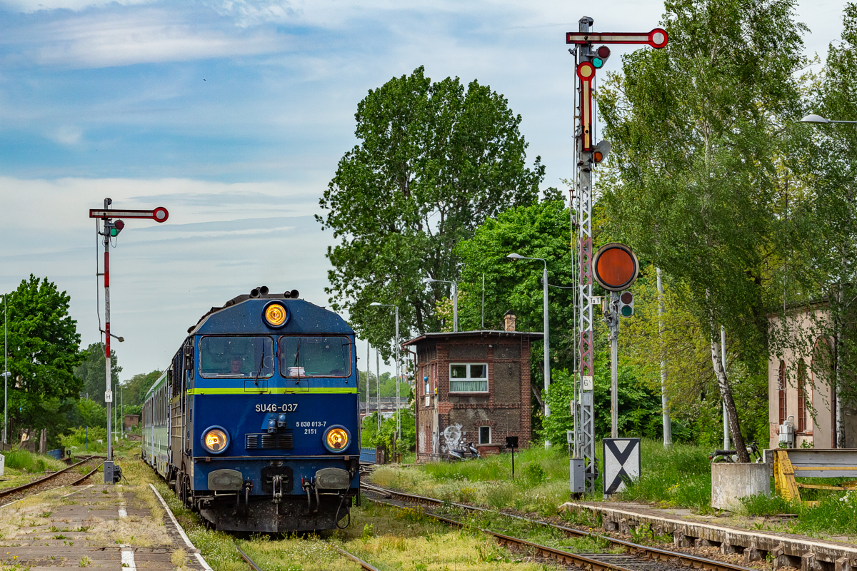 SU46-037: Żary