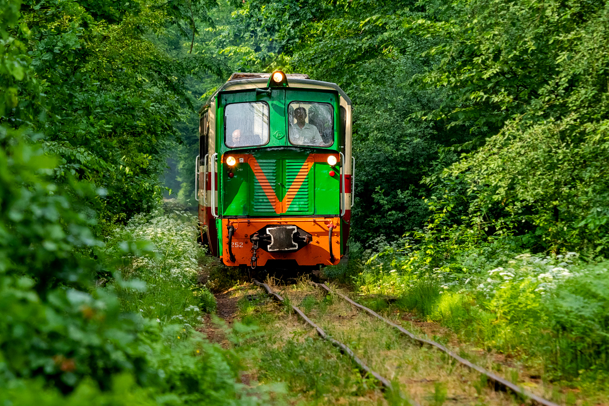Lyd-1-252: Lipie - Starachowice Wschodnie Wąskotorowe