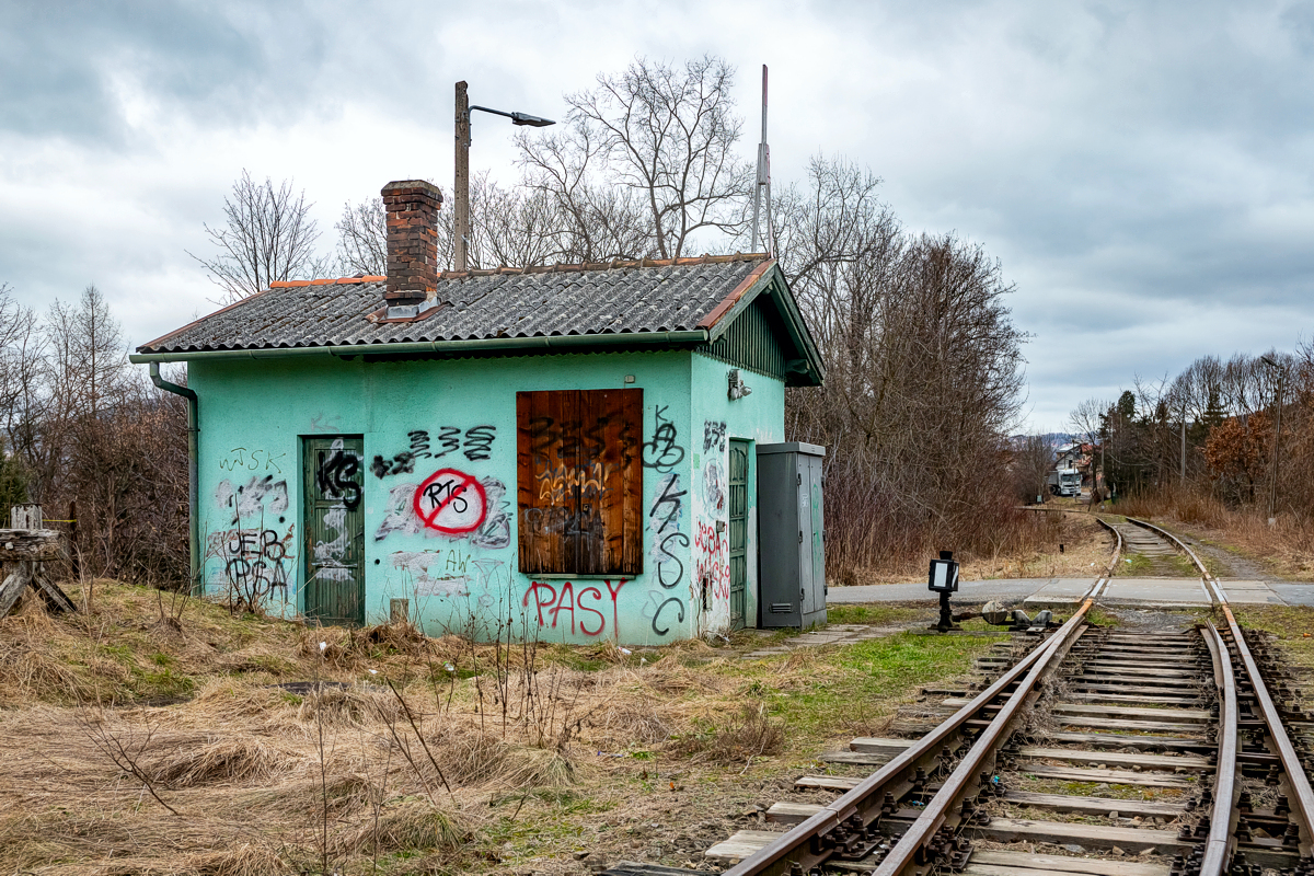 Limanowa - 03.02.2024