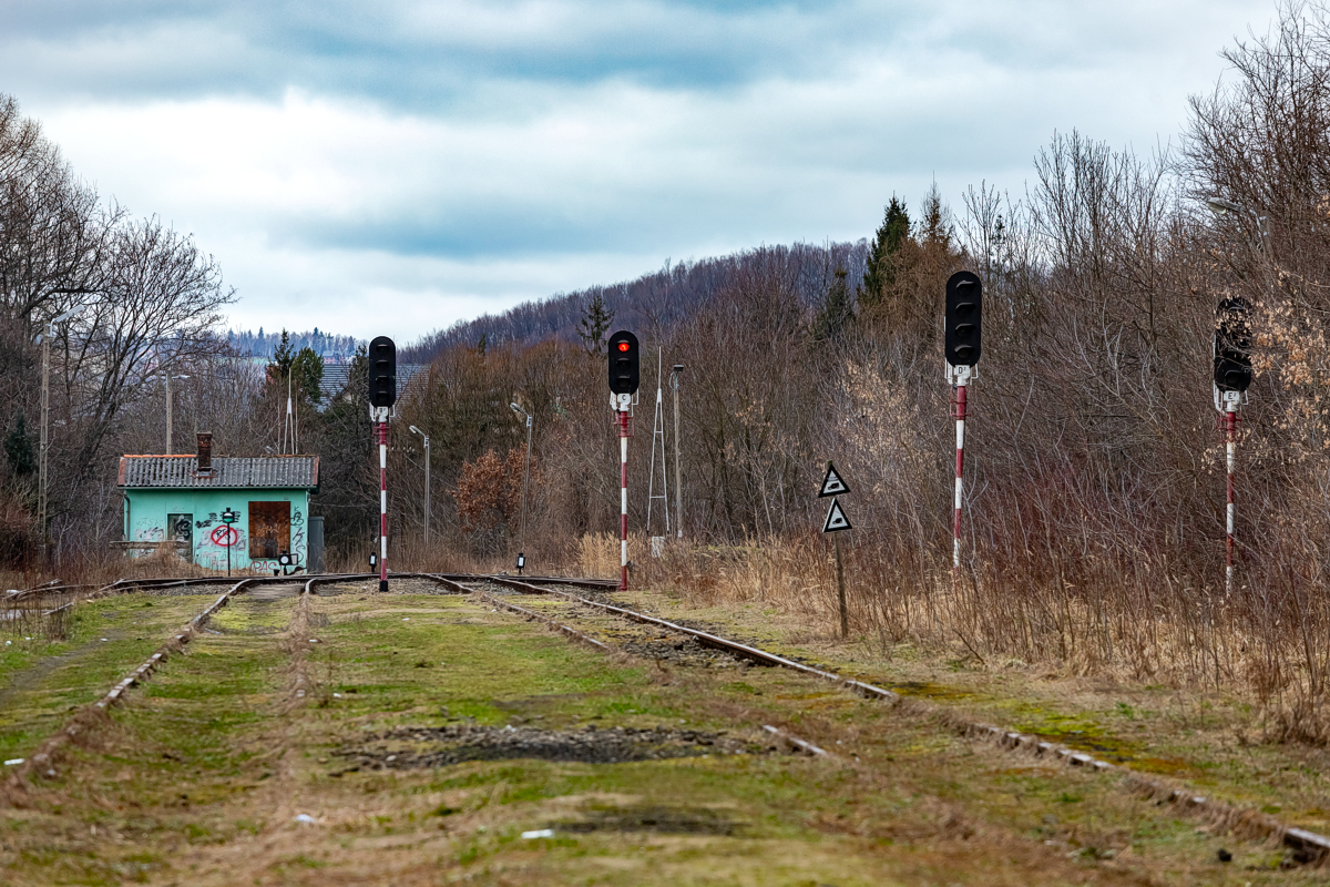 Limanowa - 03.02.2024