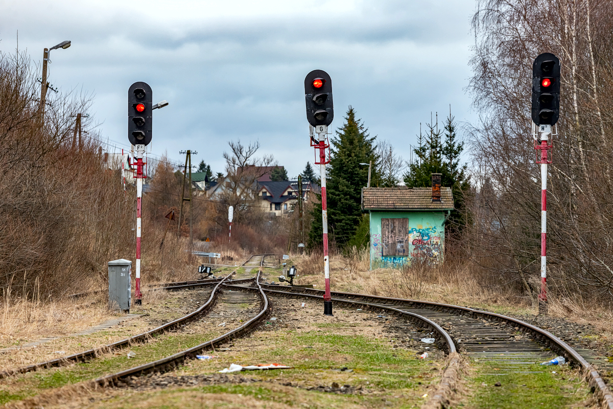 Limanowa - 03.02.2024