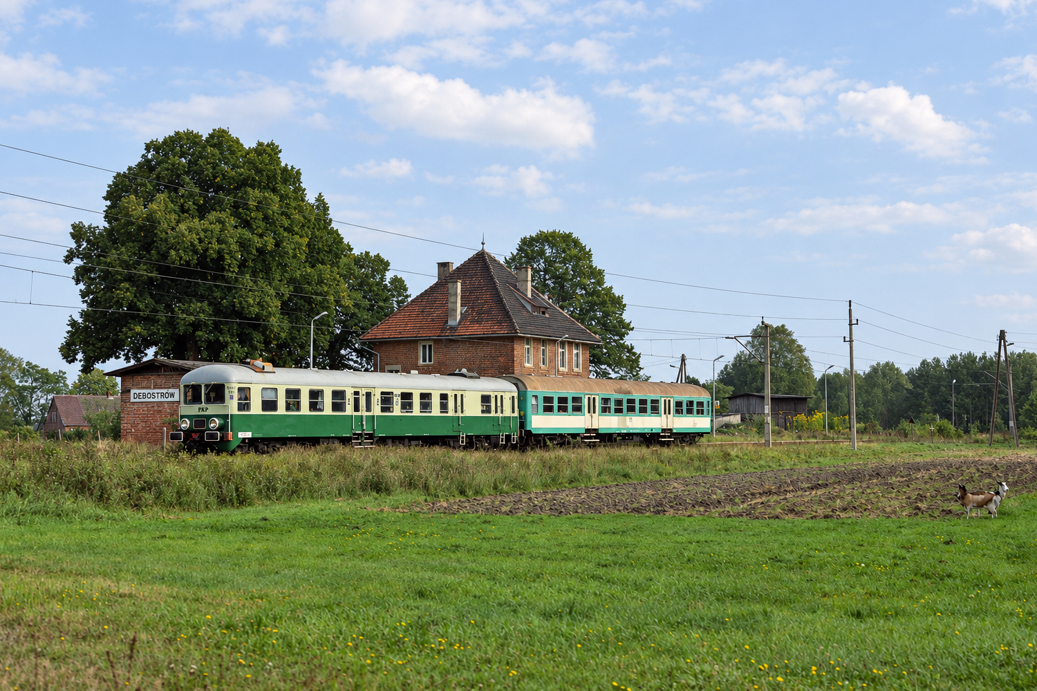 SN61-183: Dębostrów