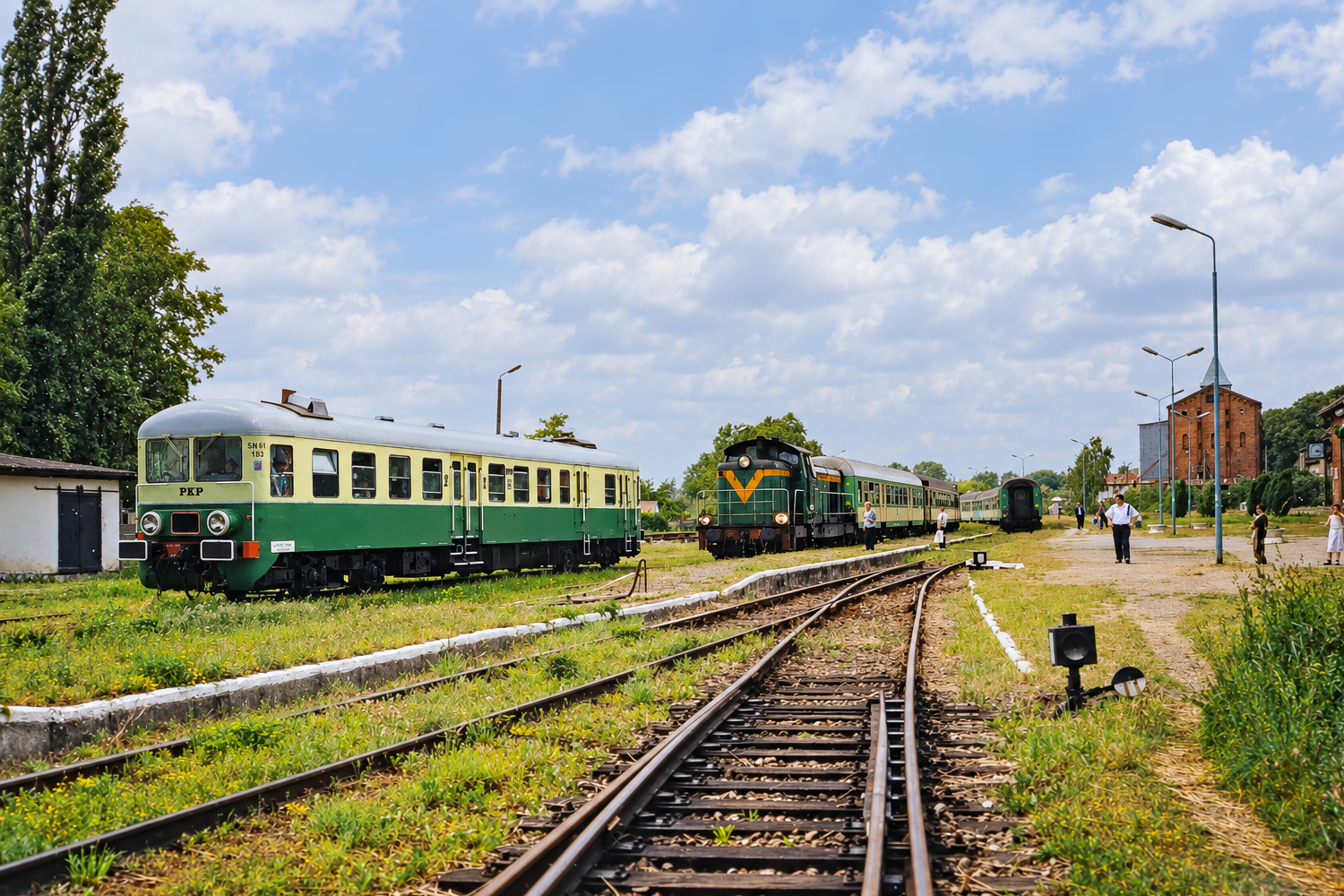 SN61-183: Płoty
