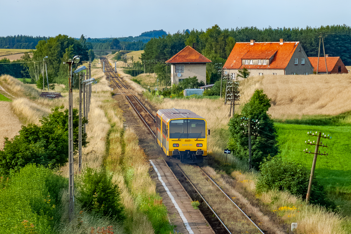 SA101-002: Podleś