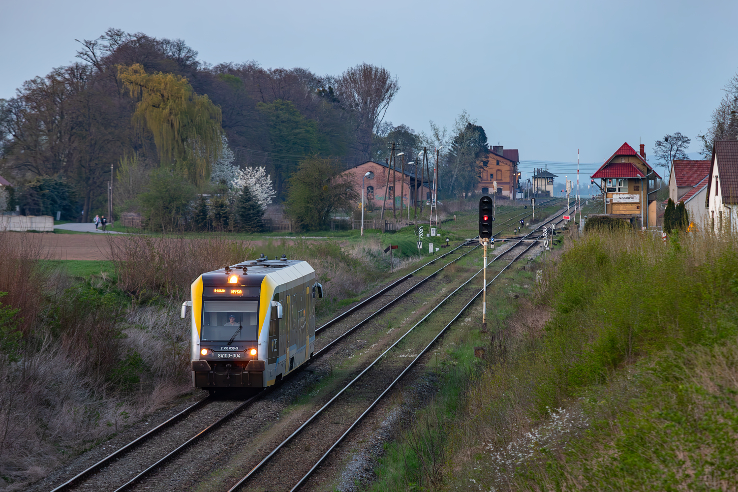 SA103-004: Głogówek