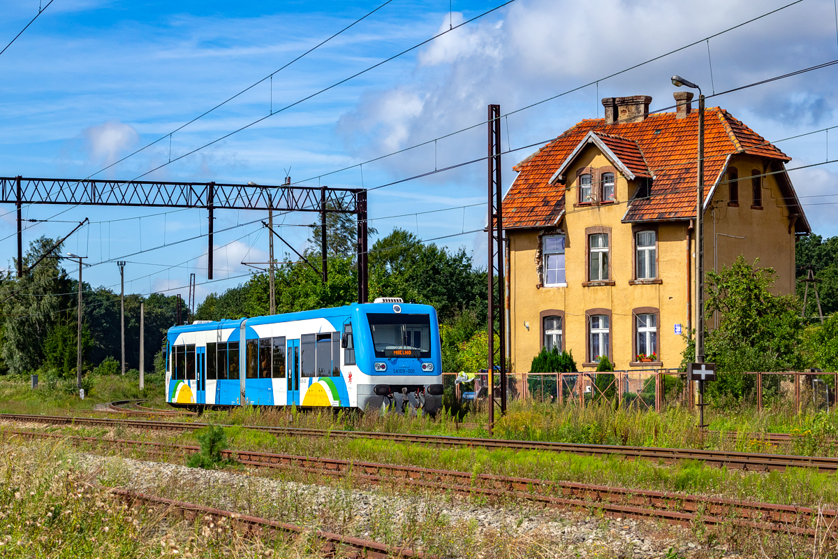 SA109-001: Mścice
