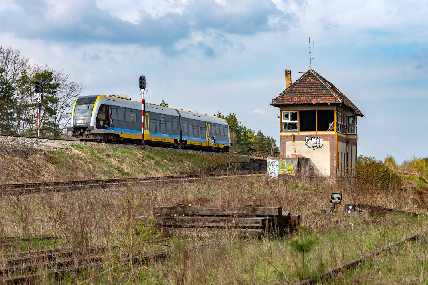 SA134-009: Żabieniec