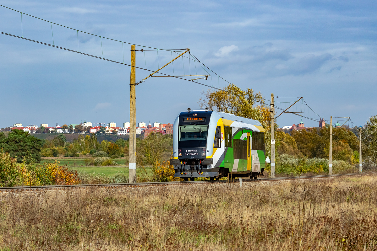SA135-018: Płock Radziwie - Łąck
