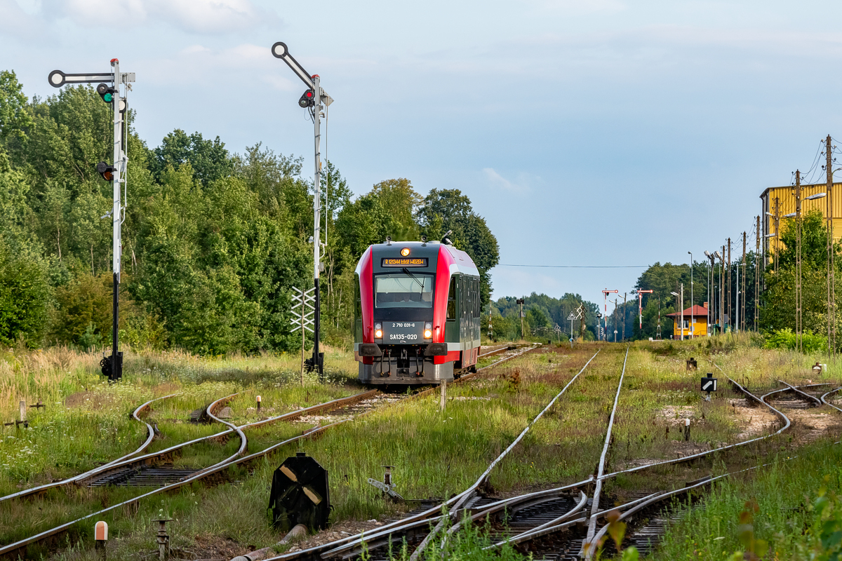 SA135-020: Jeleń