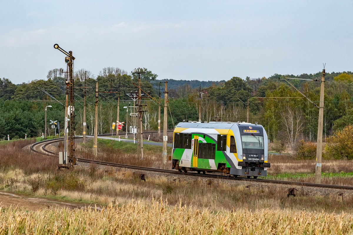 SA135-024: Florek