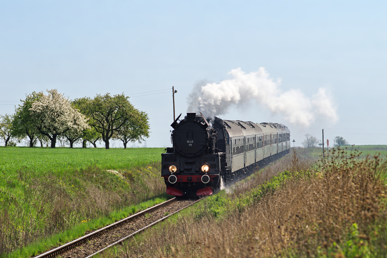 Ol49-111: Nowy Widzim