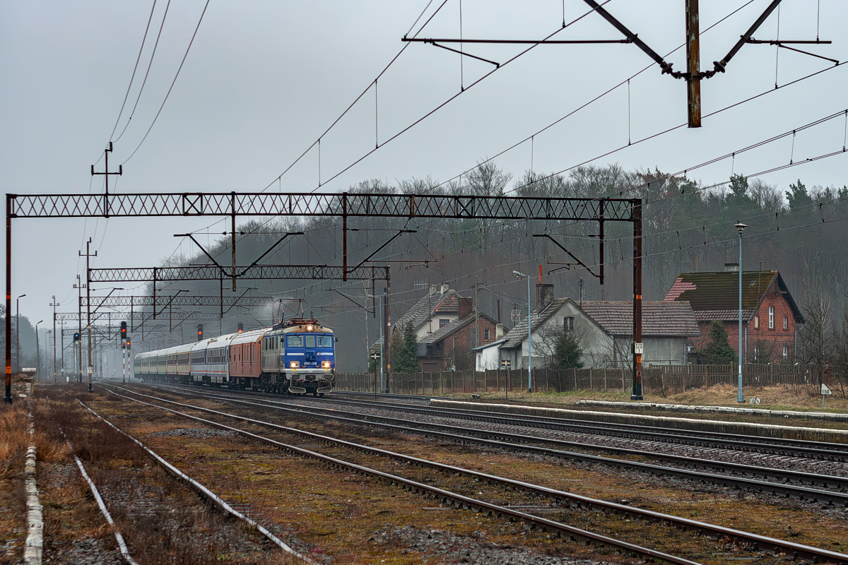 EU07-238: Rębusz