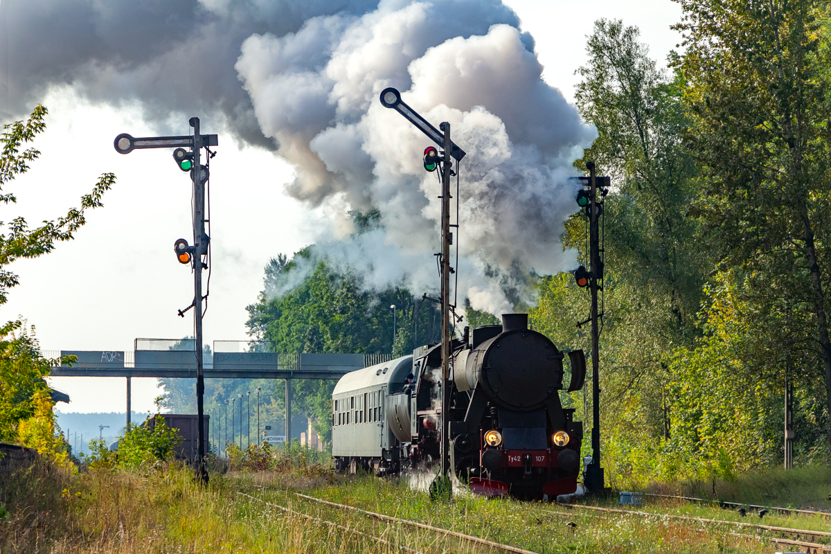 Ty42-107: Końskie