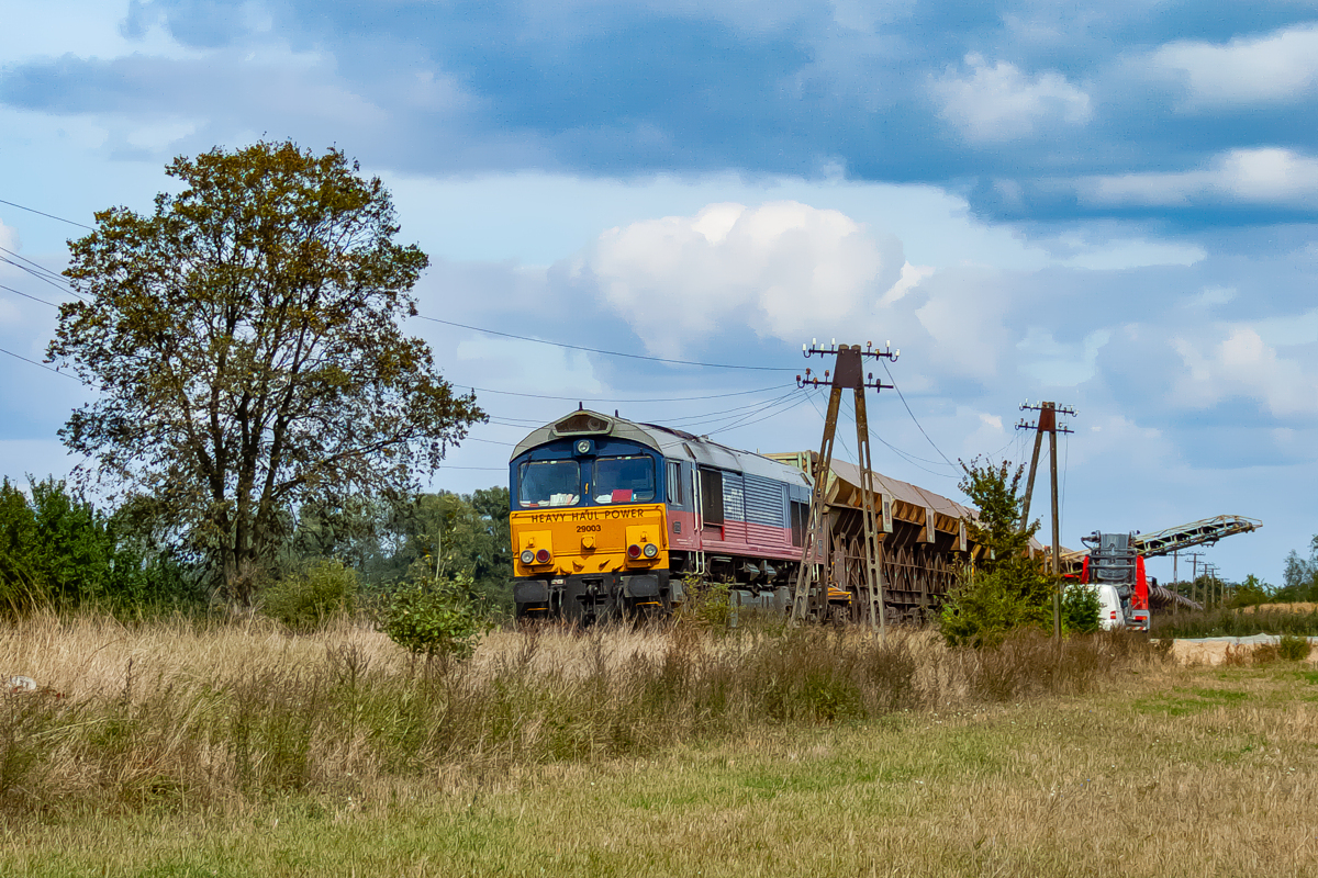 JT42CWR-29003: Kozielice