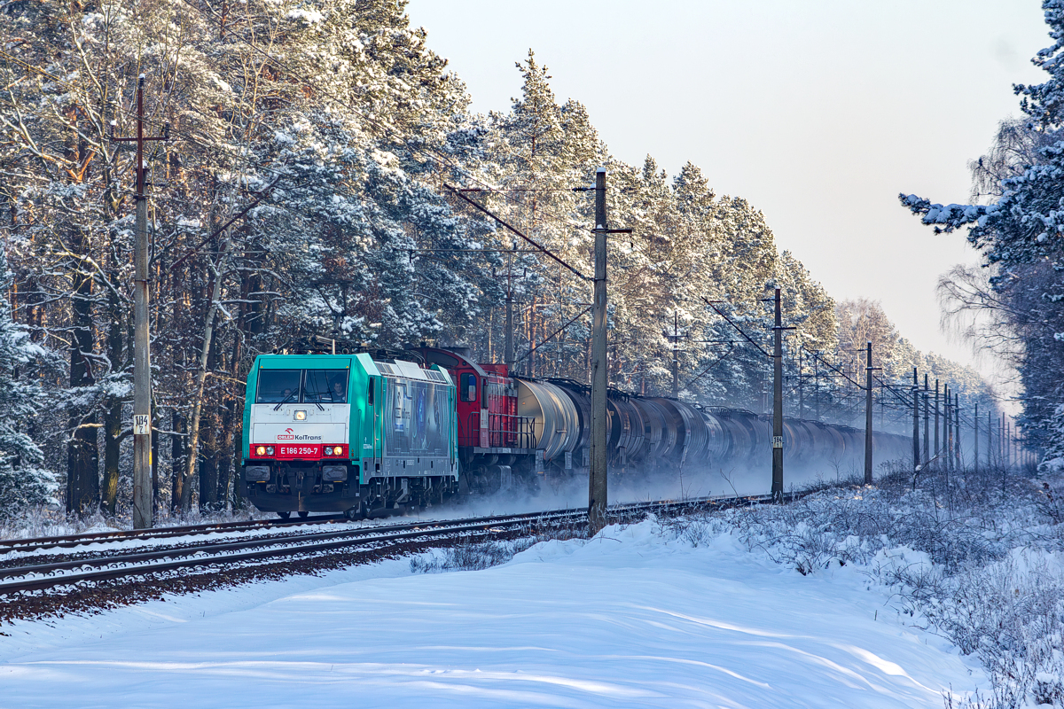 E186-250+TEM2-046: Miedwiecko - Reptowo
