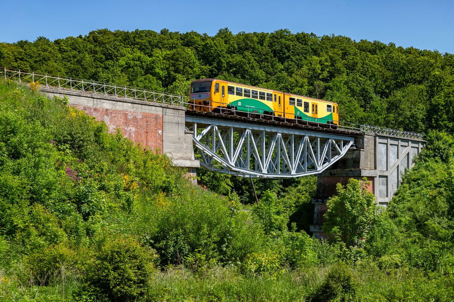 814 119: Głuchołazy - Jindřichov ve Slezsku