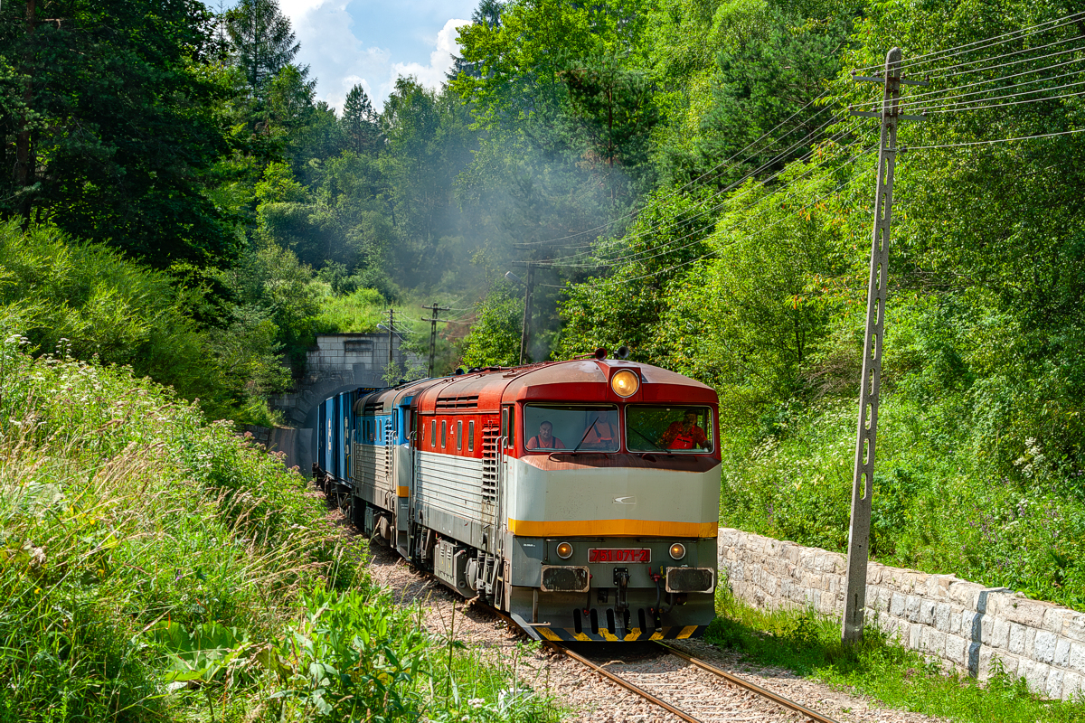 751 071+752 051: Medzilaborce Mesto - Łupków