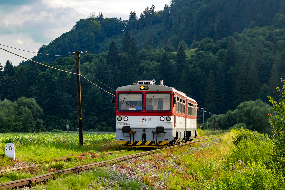 813 016: Krivá