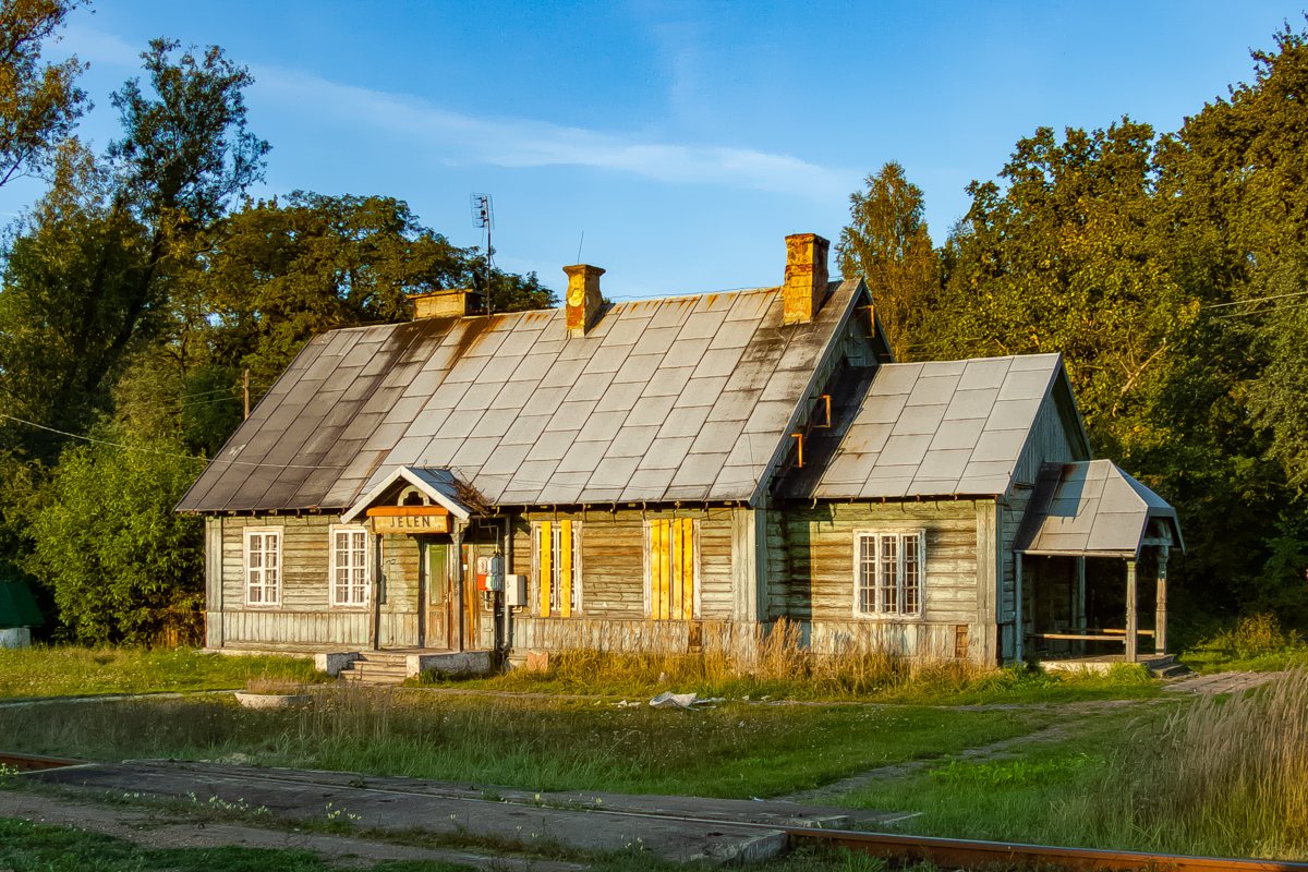 Jeleń
