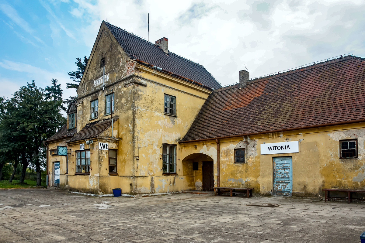 Witonia