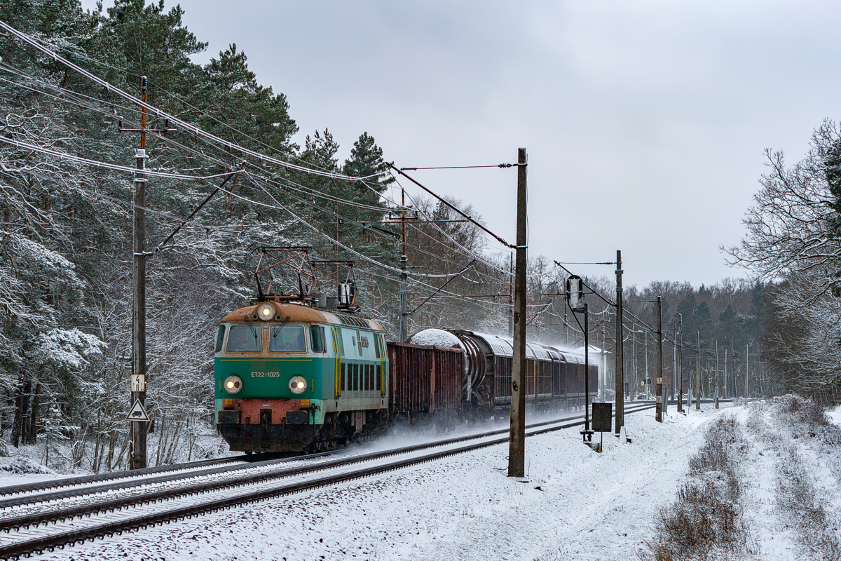 ET22-1025: Szczecin Dąbie - Szczecin Załom