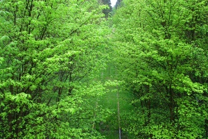 05.2010: Dąbrówka Bytowska - Borzytuchom