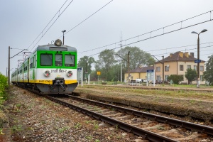 EN57-1796: Drzewica