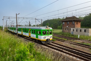 EN57-1796: Drzewica