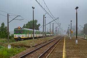 EN57-1939: Drzewica