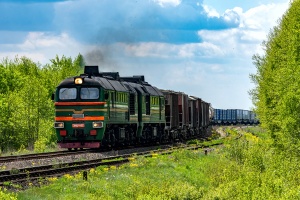 2M62-1132: Cisówka